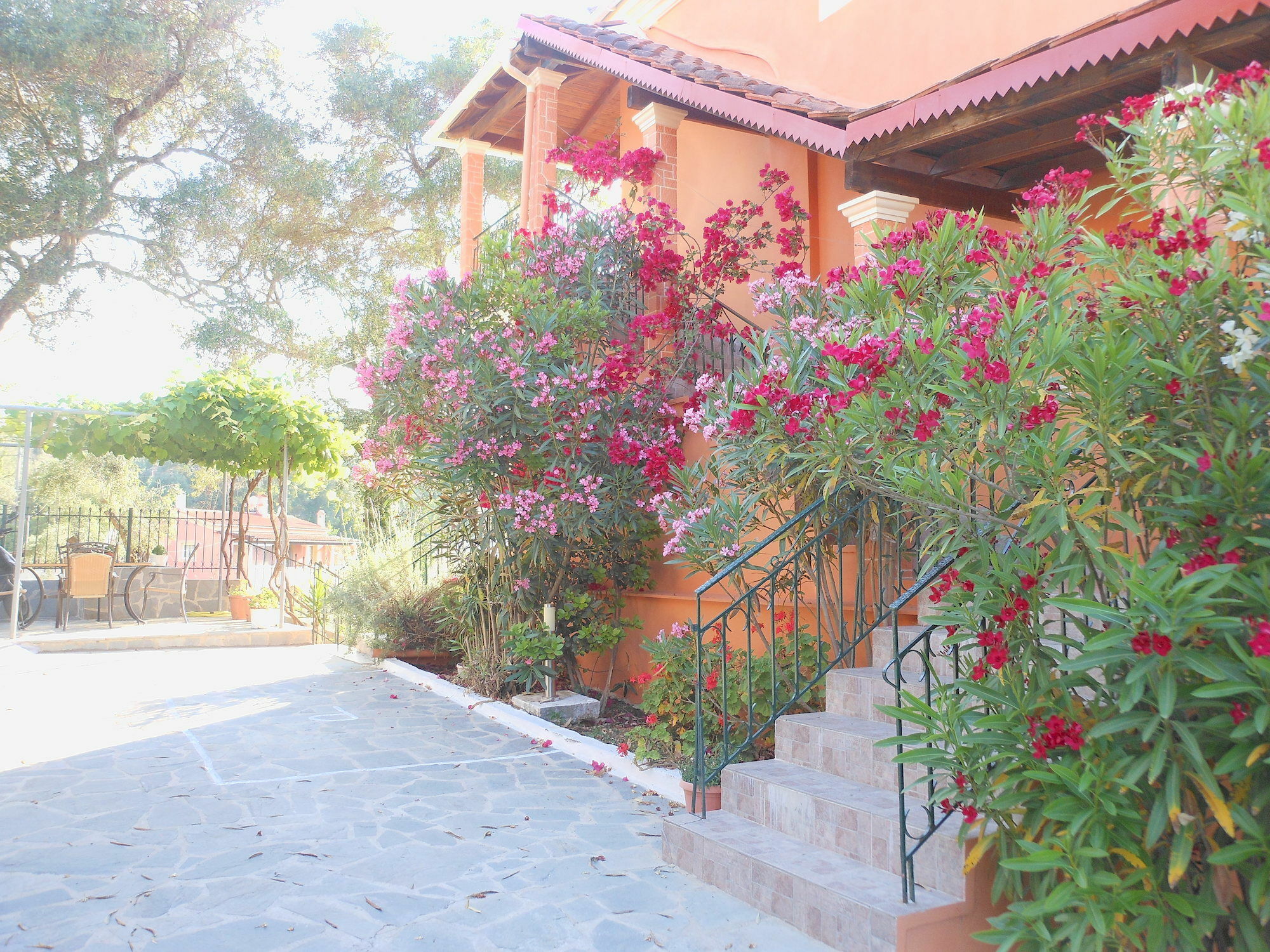 Ziogas Luxury Apartments Dassia  Exterior photo